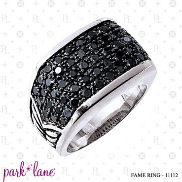 Posted in Dog Tag Fame Fame Ring Jewels by Park Lane
